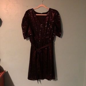 Lane Bryant , sequined dress , size 20W